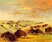 George Catlin Buffalo Bulls Fighting in Running Season-Upper Missouri china oil painting reproduction